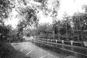 Rain through a bus window, Pak Tam Chung, Sai Kung Peninsula, 15 April 2018