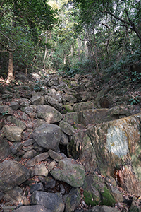 A dry stream on the Hong Kong Trail, Pokfulam Country Park, 1 April 2018