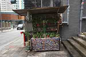 Stall with plants, Sai Ying Pun, 7 May 2018