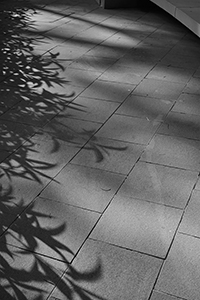 Hollywood Road Park, Sheung Wan, 12 May 2018