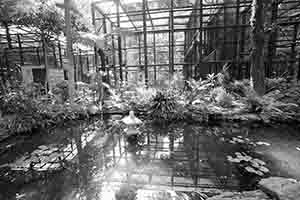 Pond and cages in the Hong Kong Zoological and Botanical Gardens, Central, 1 May 2018