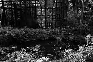Pond and cages in the Hong Kong Zoological and Botanical Gardens, 1 May 2018