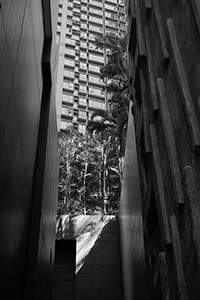 Buildings viewed from an alleyway, Sheung Wan, 14 May 2018