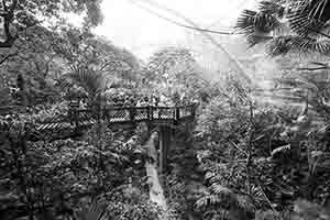 Inside the Edward Youde Aviary, Hong Kong Park, 1 May 2018