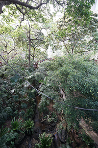 Inside the Edward Youde Aviary, Hong Kong Park, 1 May 2018