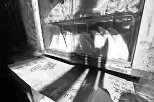 Shark fins on display, Sheung Wan, 26 May 2018