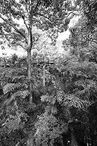 Inside the Edward Youde Aviary, Hong Kong Park, 1 May 2018