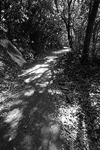 Path on the Peak, 6 May 2018