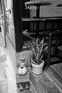 Entrance of a cafe, Sheung Wan, 15 June 2018