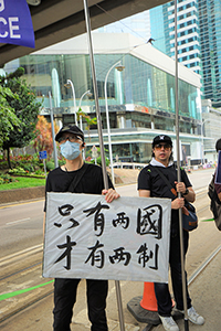 Participant in the annual pro-democracy march, Queensway, Admiralty, 1 July 2018