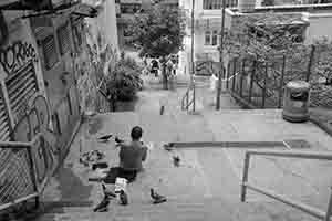 Man feeding birds, Ladder Street, Sheung Wan, 3 July 2018