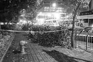 Damage caused by Typhoon Mangkhut, Sheung Wan, 24 September 2018