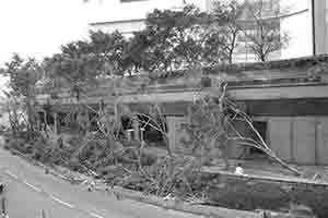 Damage caused by Typhoon Mangkhut, Central, 22 September 2018