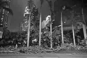 Damage to trees caused by Typhoon Mangkhut,  Man Kwong Street, 25 September 2018