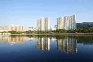 The Shing Mun River, Sha Tin, 5 October 2018