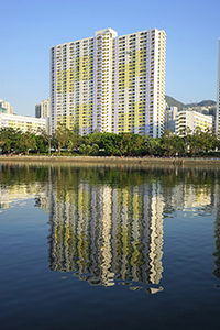 The Shing Mun River, Sha Tin, 5 October 2018