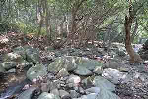 Stream with rocks, Aberdeen Country Park, 7 October 2018