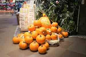 Pumpkins on display in City Super, IFC Mall, 14 October 2018