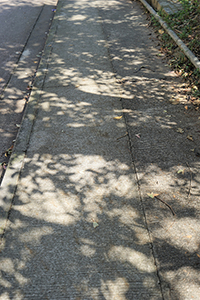 Shadows, Tai Tam Country Park, 28 October 2018