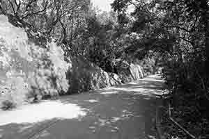 Tai Tam Reservoir Road, Tai Tam Country Park, 28 October 2018