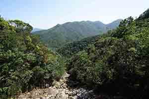 Mountain view, Tai Tam Country Park, 28 October 2018