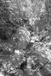 Shadows of trees on rocks, Pokfulam Country Park, 21 October 2018