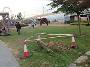Damage caused by Typhoon Mangkhut, Tamar Park, 12 October 2018