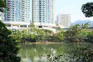 The Shing Mun River, Sha Tin, 5 October 2018