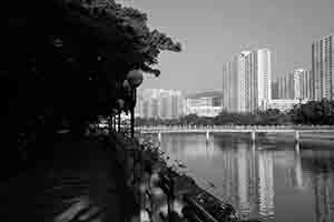The Shing Mun River, Sha Tin, 5 October 2018