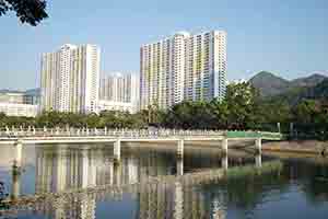 The Shing Mun River, Sha Tin, 5 October 2018