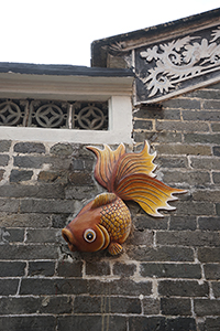 Fish on a wall, Kam Tin, 4 November 2018