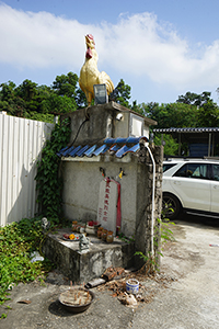 Chicken, Ping Shan, Yuen Long, 11 November 2018