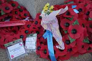 Wreaths placed for Remembrance Day, The Cenotaph, Central, 11 November 2018