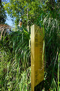 Religious sculpture and information board, Yim Hing Temple, Lantau, 18 November 2018