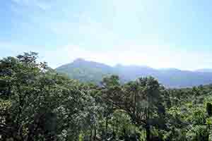 Mountain view from Yim Hing Temple, Lantau, 18 November 2018