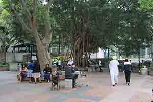 Wan Chai Park, Hong Kong Island, 25 November 2018