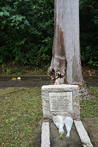 Gravestone with flowers, Hong Kong Cemetery, Happy Valley, 25 November 2018