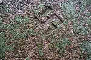 Nazi swastika on a grave in the Hong Kong Cemetery, Happy Valley, 25 November 2018