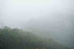 Foggy weather, Tai Lam Country Park, 16 December 2018