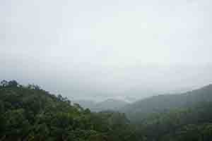 Tai Lam Country Park, 16 December 2018