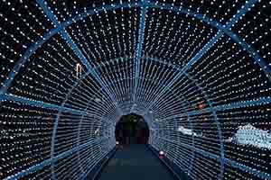 Illuminated tunnel in Tamar Park, part of the Hong Kong Pulse Light Festival, 19 December 2018