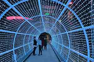 Illuminated tunnel in Tamar Park, part of the Hong Kong Pulse Light Festival, 19 December 2018