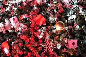 Christmas tree at Tai Kwun, Central, 20 December 2018