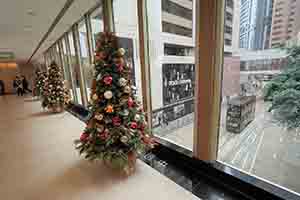 Christmas trees on a footbridge over Des Voeux Road Central, 27 December 2018