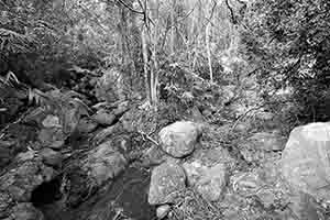 Stream in Pokfulam Country Park, 30 December 2018