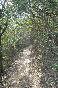 The Hong Kong Trail, Pokfulam Country Park, 30 December 2018