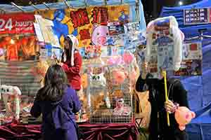 Lunar New Year market, Victoria Park, Causeway Bay, 30 January 2019