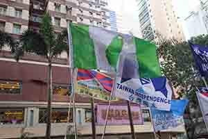 Flags held by supporters of independence at the New Year's Day protest march, Hennessy Road, Wanchai, 1 January 2019