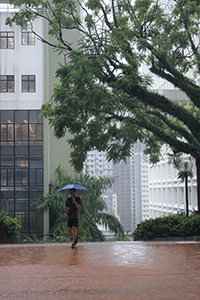 Rainy weather, University of Hong Kong, Pokfulam, 1 August 2019