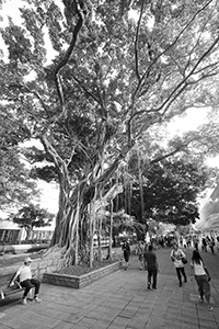 Park Lane Shopper's Boulevard, Nathan Road, Tsim Sha Tsui, 10 October 2019
